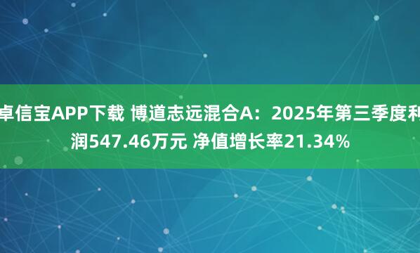 卓信宝APP下载 博道志远混合A：2025年第三季度利润547.46万元 净值增长率21.34%