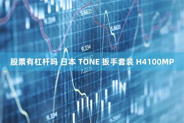 股票有杠杆吗 日本 TONE 扳手套装 H4100MP