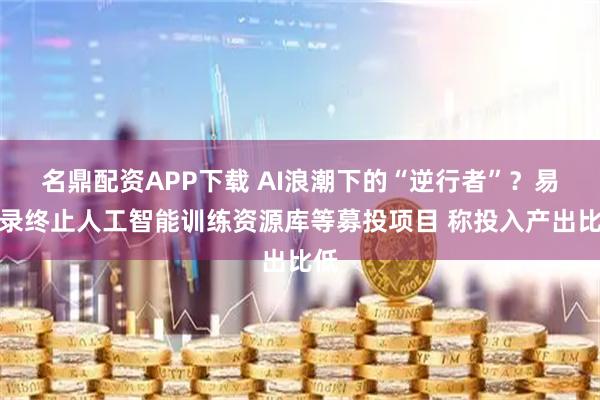 名鼎配资APP下载 AI浪潮下的“逆行者”？易华录终止人工智能训练资源库等募投项目 称投入产出比低