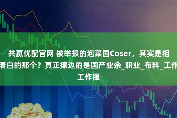 共赢优配官网 被举报的泡菜国Coser，其实是相当清白的那个？真正擦边的是国产业余_职业_布料_工作服