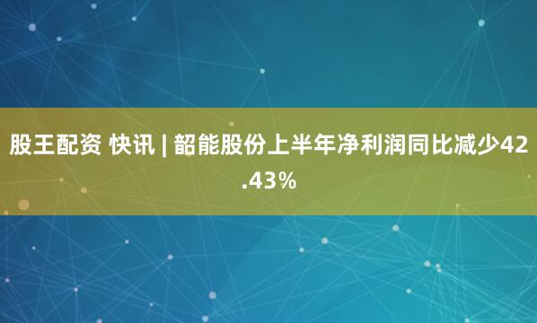 股王配资 快讯 | 韶能股份上半年净利润同比减少42.43%