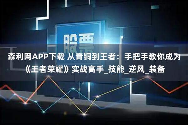 森利网APP下载 从青铜到王者：手把手教你成为《王者荣耀》实战高手_技能_逆风_装备